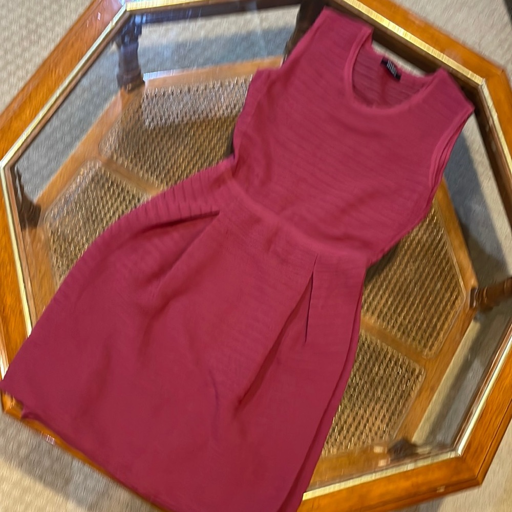 NWOT Max & Co Dress